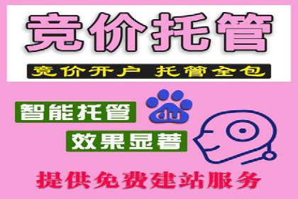SEM托管公司案例：优化与增长